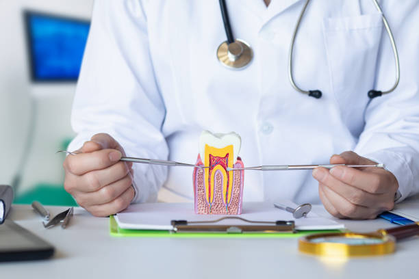Best Knocked-Out Tooth (Avulsed Tooth) Treatment in Sawyerwood, OH